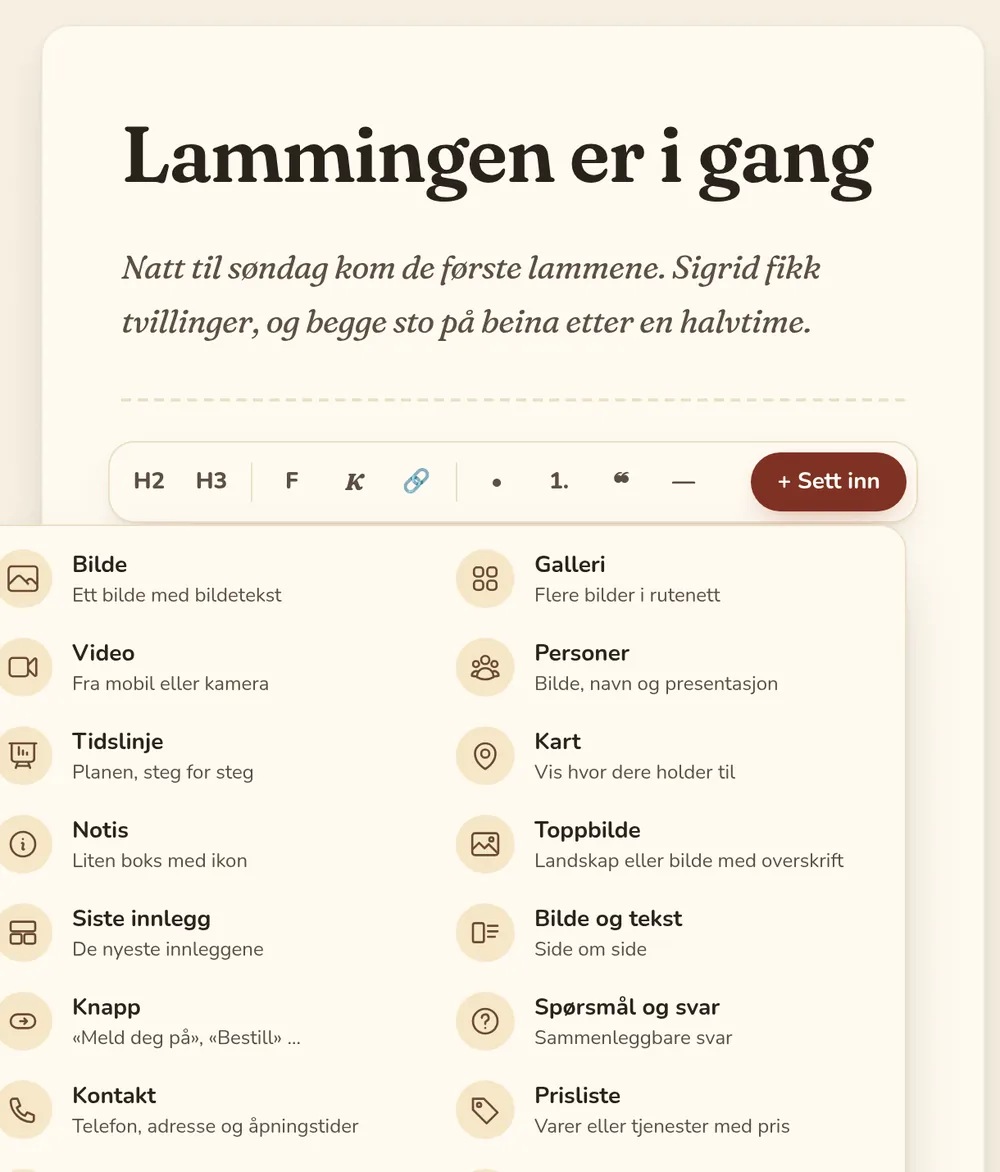 Menyen «Sett inn» med bilde, galleri, video, tidslinje, kart, arrangementer, utsalg og mer